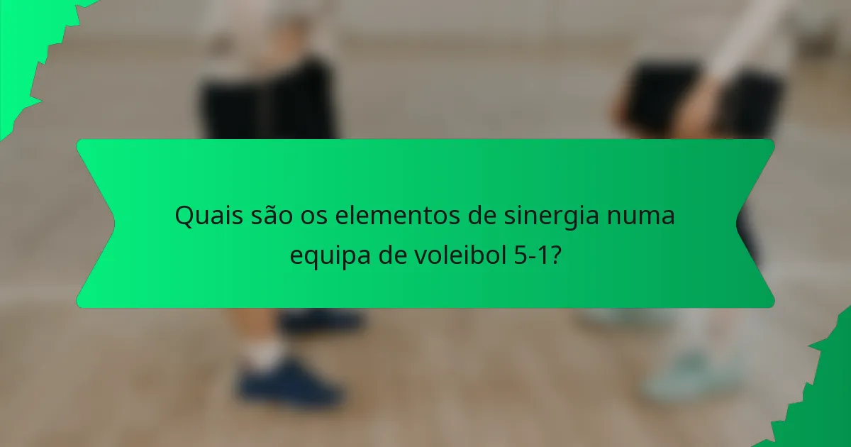 Quais são os elementos de sinergia numa equipa de voleibol 5-1?